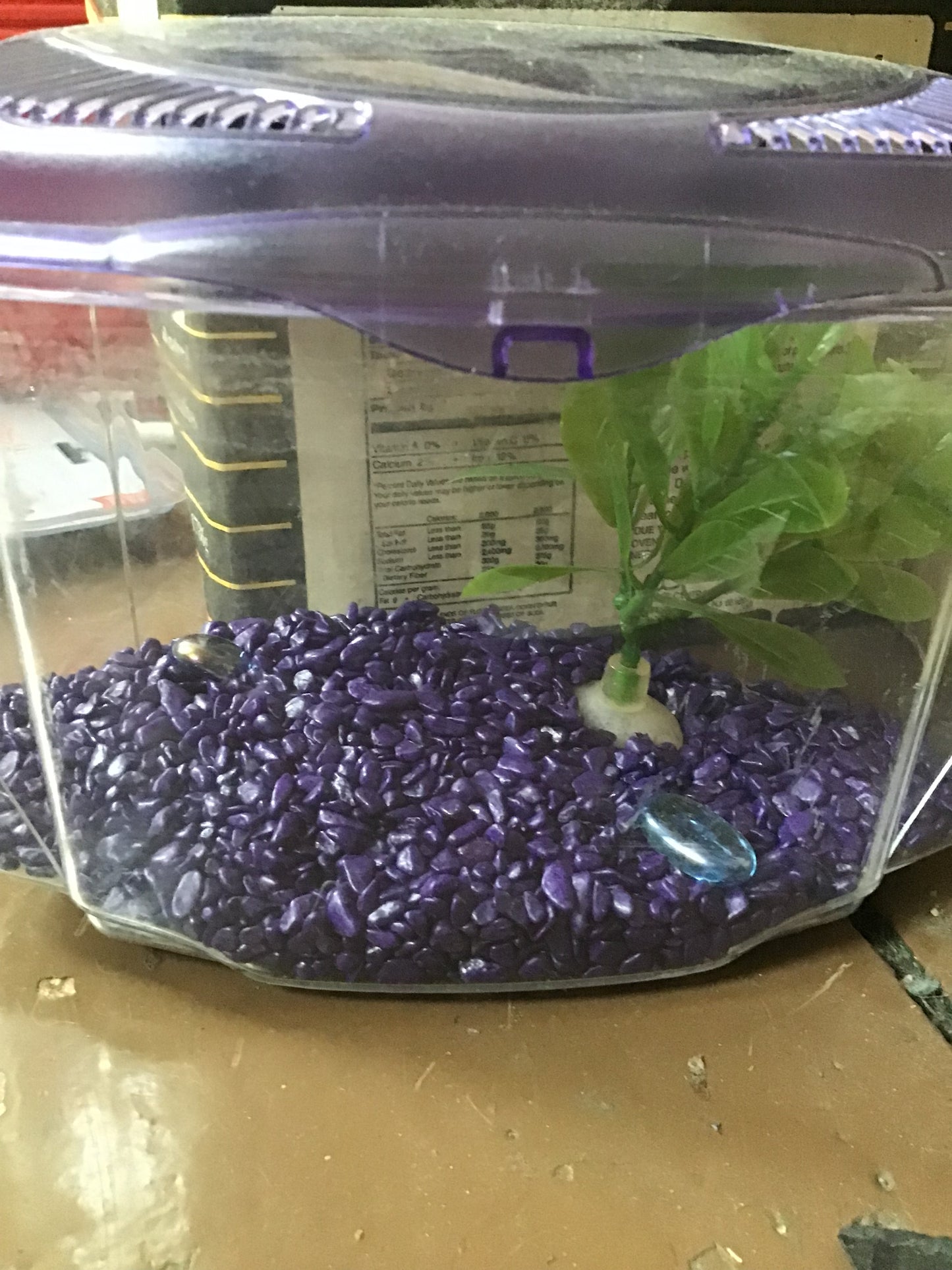 A Fishtank for “tributes”